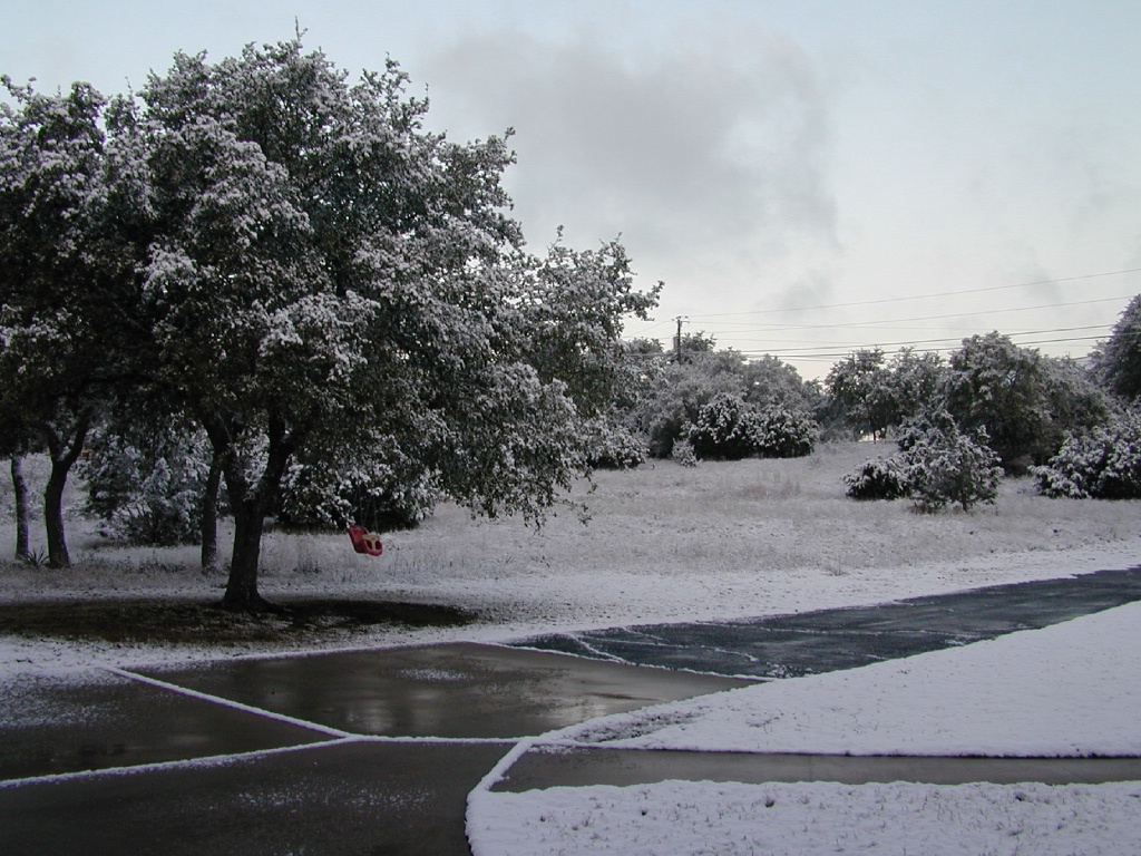 2004/02(February)/Snow_in_Austin/1024x768_DSCN0373.JPG