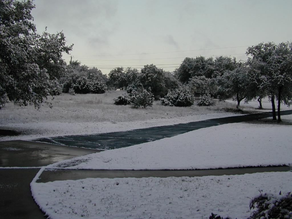 2004/02(February)/Snow_in_Austin/1024x768_DSCN0374.JPG