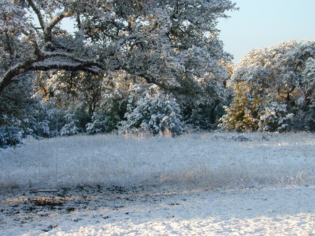 2004/02(February)/Snow_in_Austin/1024x768_DSCN0375.JPG