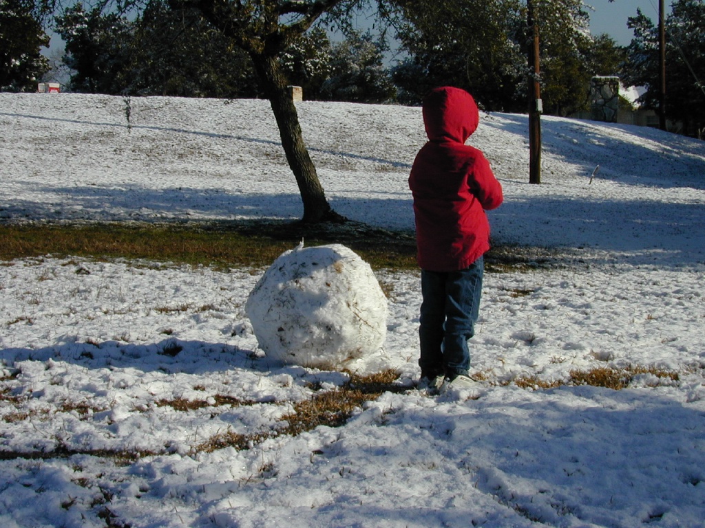 2004/02(February)/Snow_in_Austin/1024x768_DSCN0379.JPG