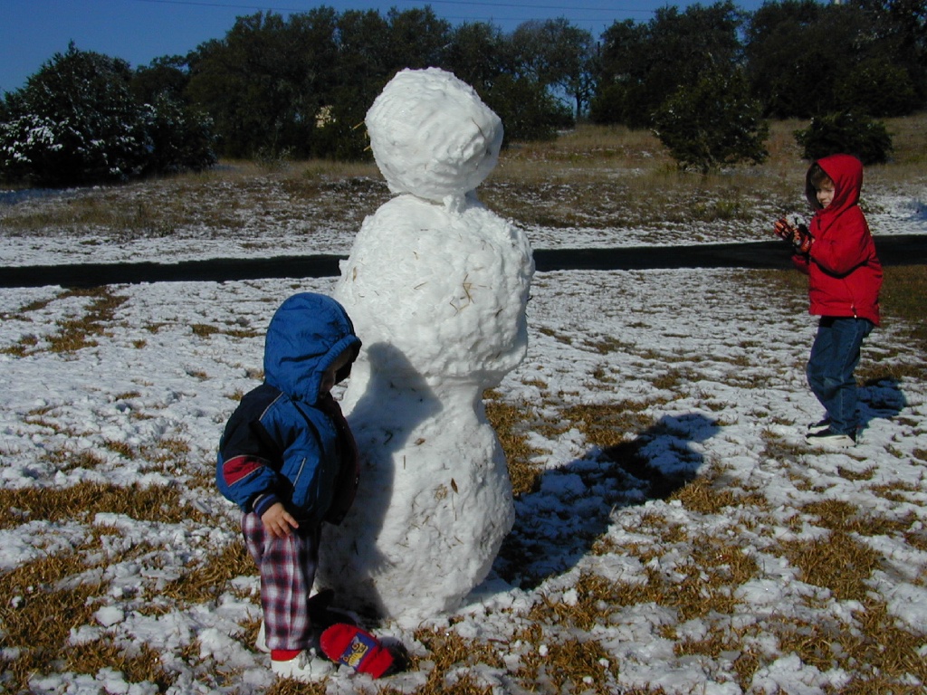 2004/02(February)/Snow_in_Austin/1024x768_DSCN0384.JPG