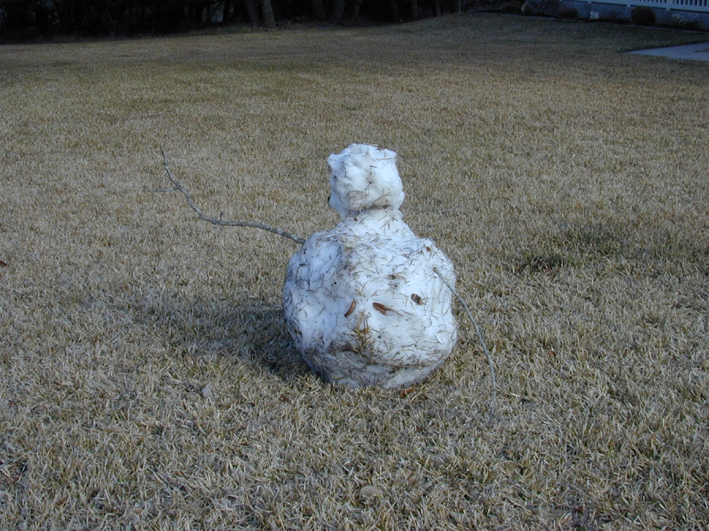 DSCN0390.JPG