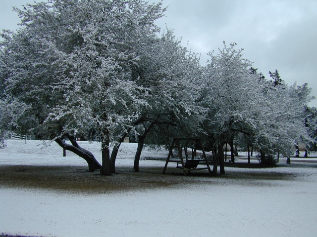 DSCN0370.JPG