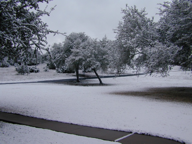 2004/02(February)/Snow_in_Austin/640x480_DSCN0371.JPG