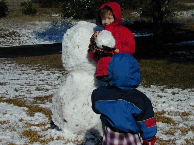 2004/02(February)/Snow_in_Austin/640x480_DSCN0382.JPG