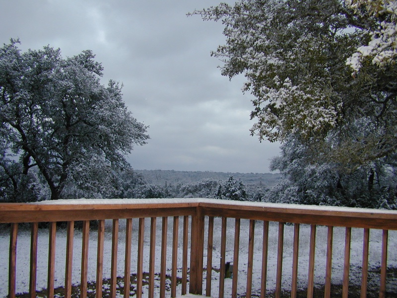 2004/02(February)/Snow_in_Austin/800x600_DSCN0365.JPG
