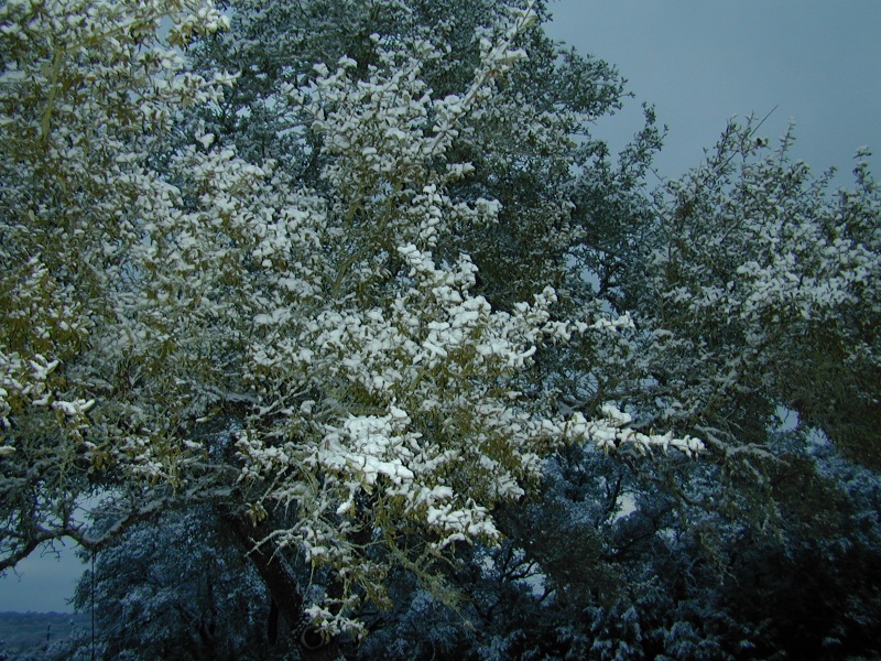 DSCN0368.JPG