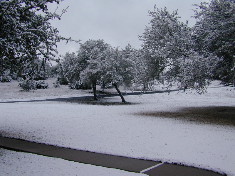 2004/02(February)/Snow_in_Austin/800x600_DSCN0371.JPG