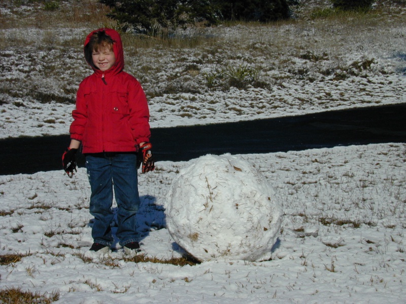 2004/02(February)/Snow_in_Austin/800x600_DSCN0381.JPG