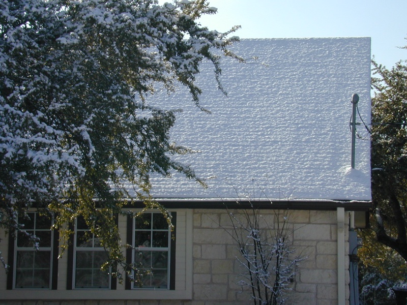 2004/02(February)/Snow_in_Austin/800x600_DSCN0388.JPG