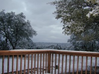 2004/02(February)/Snow_in_Austin/DSCN0365.JPG
