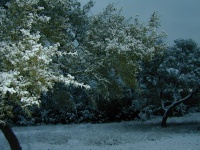 DSCN0367.JPG