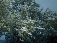 DSCN0368.JPG