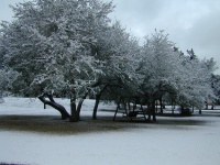 DSCN0370.JPG