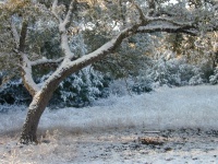 DSCN0376.JPG