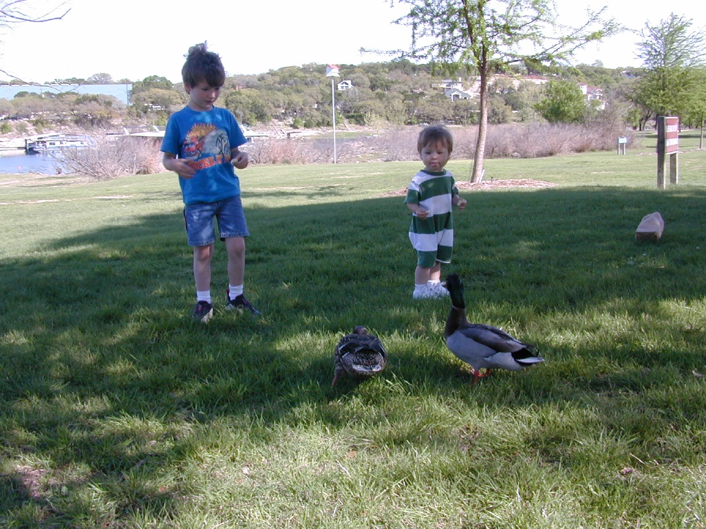 DSCN0384.JPG