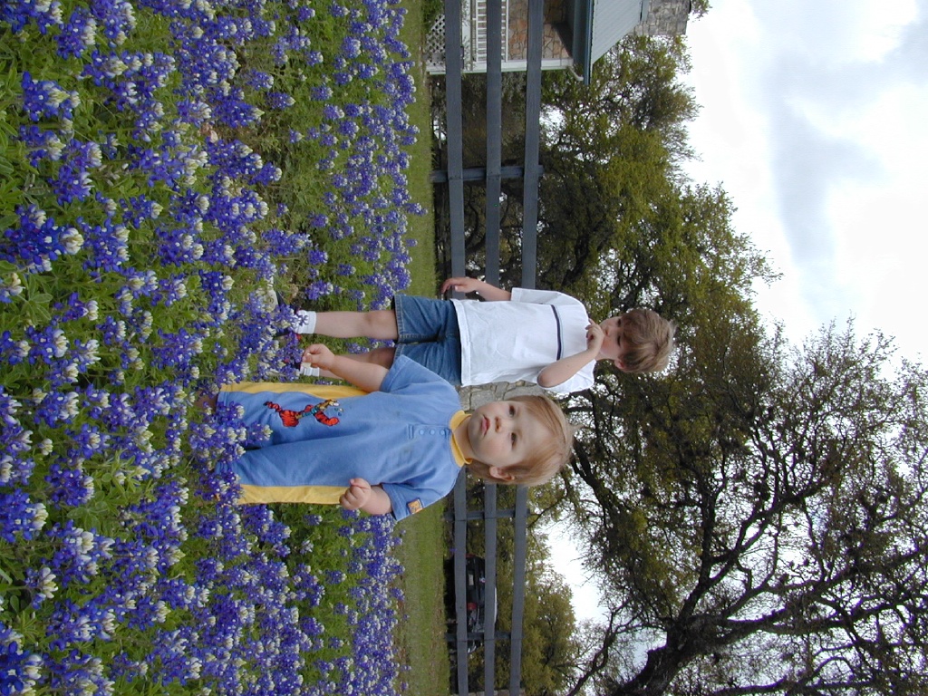 2004/04(April)/Misc/1024x768_DSCN0409.JPG