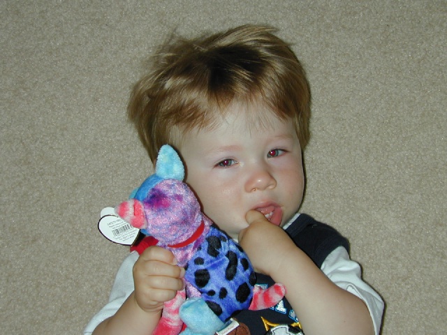 DSCN0369.JPG