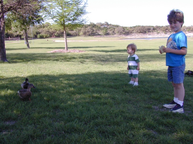 DSCN0381.JPG