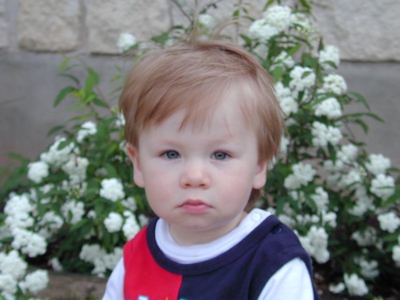 DSCN0375.JPG