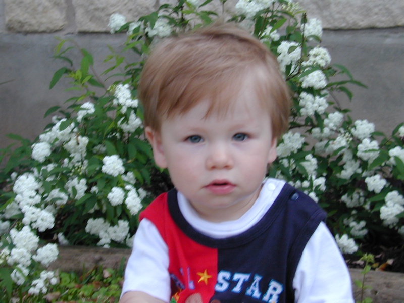 DSCN0377.JPG