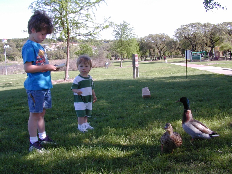 DSCN0386.JPG