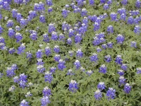 DSCN0415.JPG