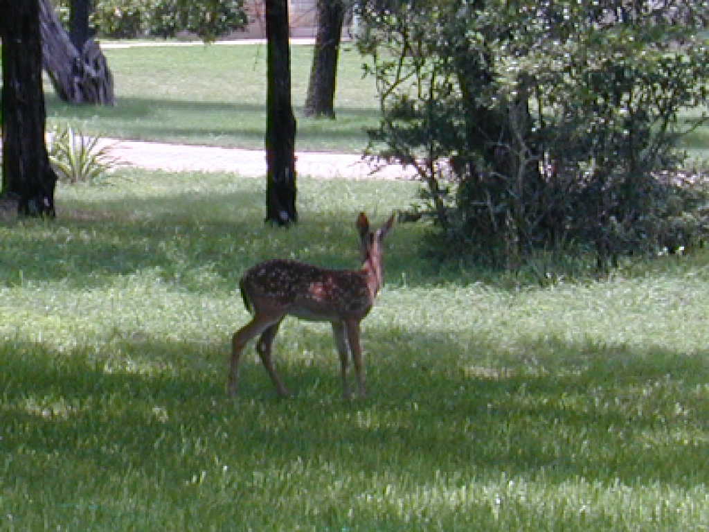 DSCN0027.JPG