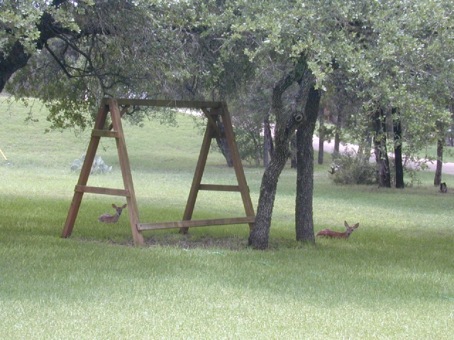 DSCN0022.JPG