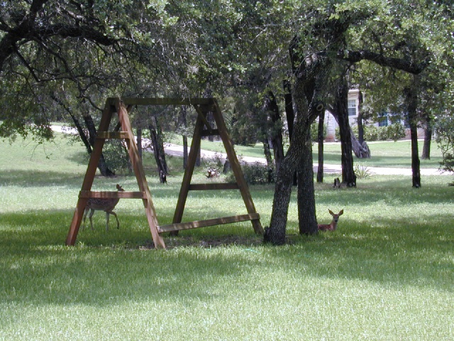DSCN0025.JPG