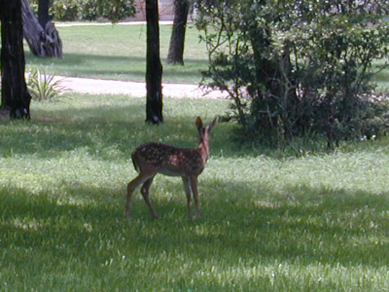 DSCN0027.JPG