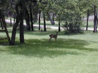 DSCN0028.JPG