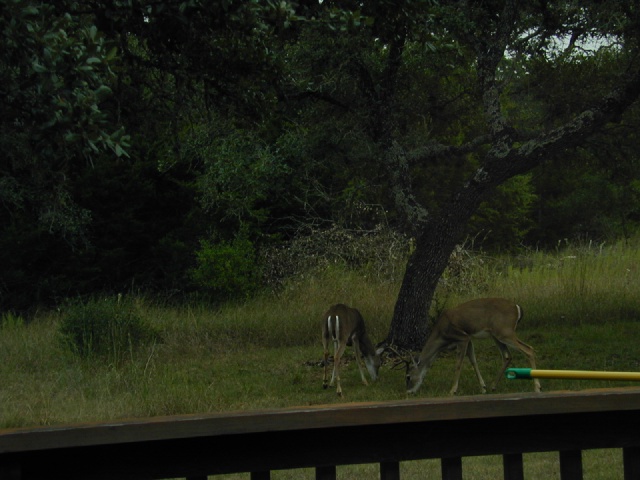 DSCN0034.JPG
