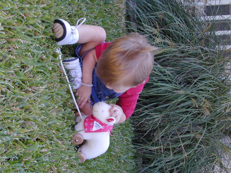 DSCN0032.JPG