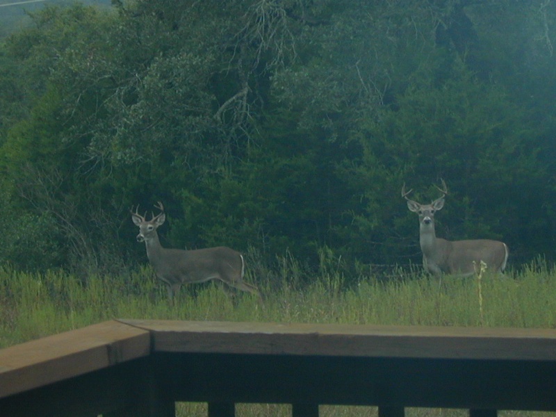 DSCN0035.JPG