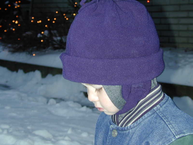 2004/12(December)/Michigan_Trip/800x600_DSCN0005.JPG