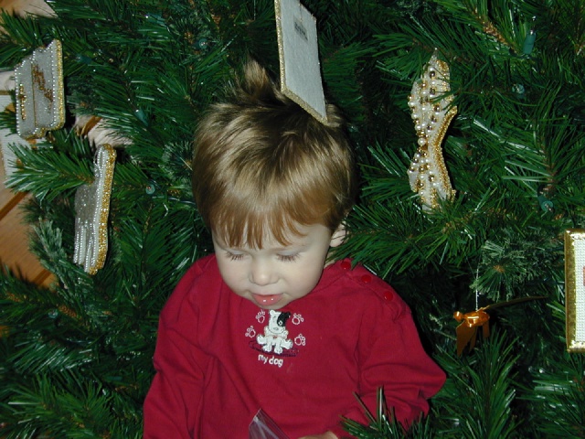 DSCN0078.JPG
