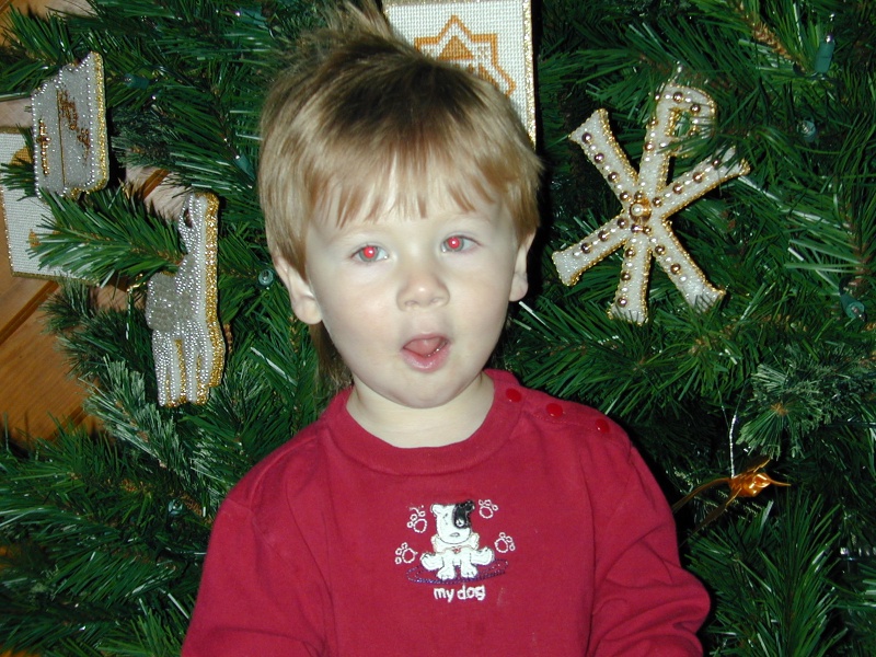 2004/12(December)/Misc/800x600_DSCN0077.JPG
