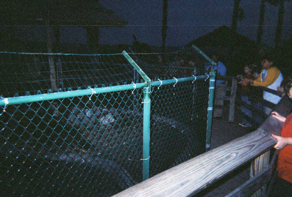 2005/03(March)/Corpus_Trip/1024x768_FH000004.jpg