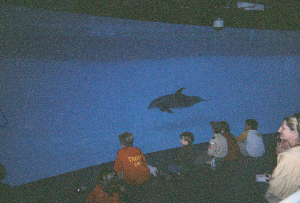 2005/03(March)/Corpus_Trip/1024x768_FH000007.jpg