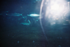 FH000002.jpg