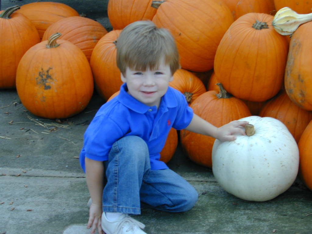 2005/10(October)/Pumpkin_Search/1024x768_DSCN0002.JPG
