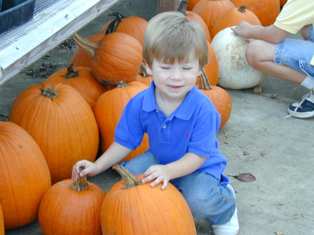 2005/10(October)/Pumpkin_Search/640x480_DSCN0001.JPG
