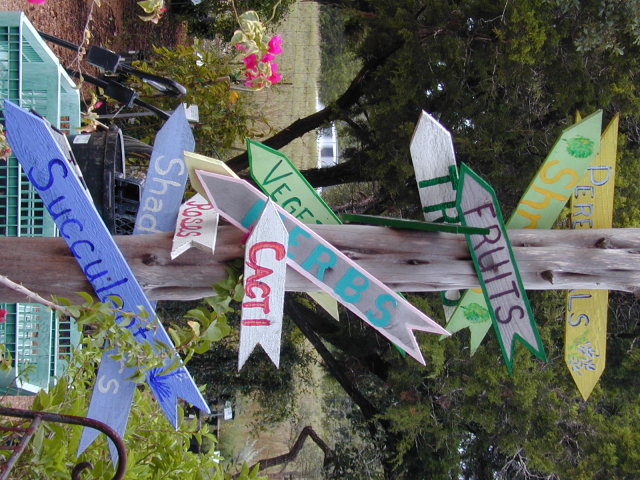 2005/10(October)/Pumpkin_Search/640x480_DSCN0011.JPG