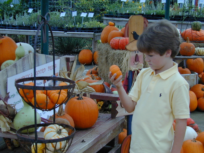 DSCN0005.JPG