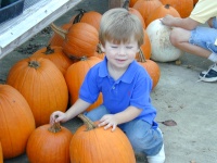 2005/10(October)/Pumpkin_Search/DSCN0001.JPG