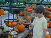 DSCN0005.JPG