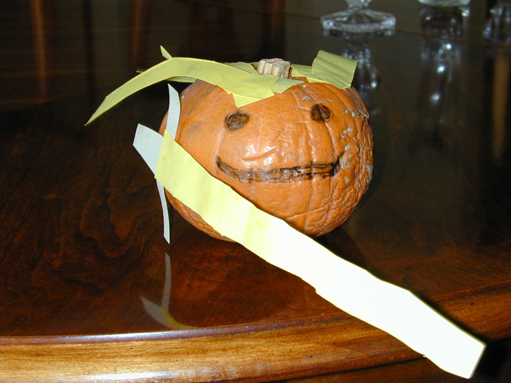 November002.jpg