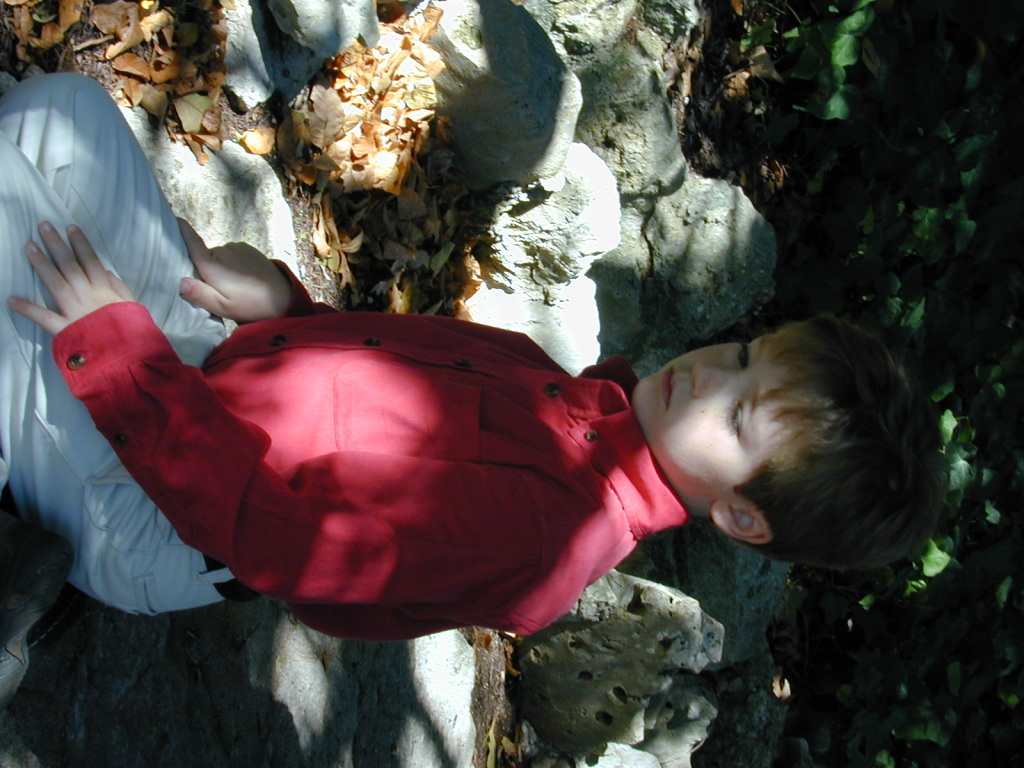 November023.jpg