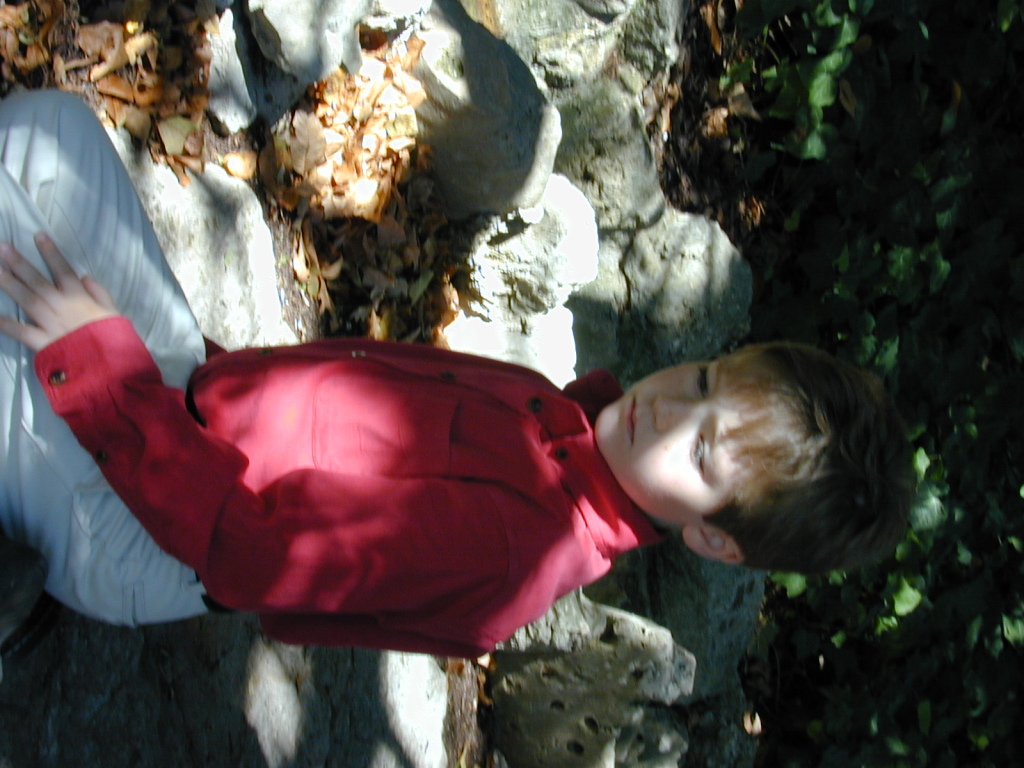 November024.jpg